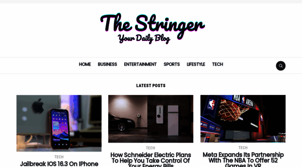 thestringerusa.com