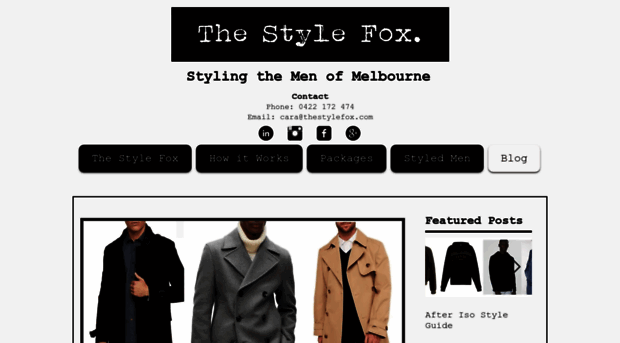 thestylefox.com