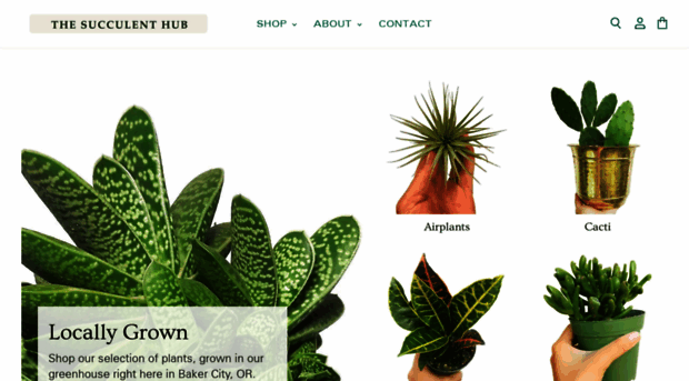 thesucculenthub.com