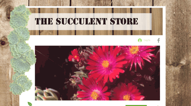 thesucculentstore.com.au