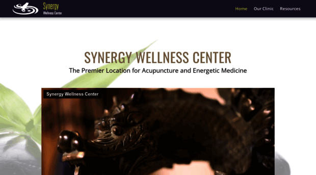 thesynergywellnesscenter.com