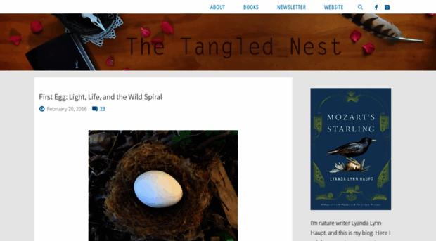 thetanglednest.com