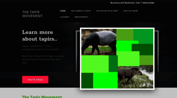 thetapirmovement.weebly.com