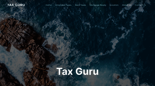 thetaxguru.net