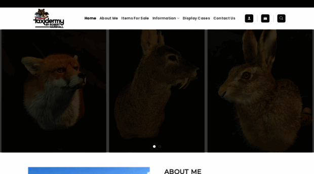 thetaxidermist.co.uk