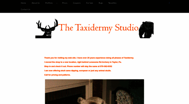 thetaxidermystudio.net