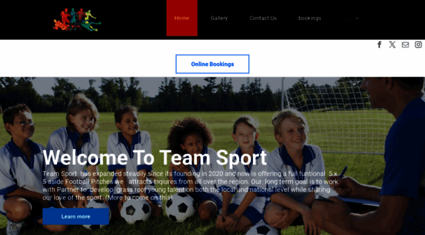 theteamsport.com