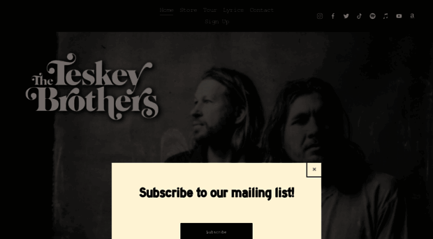 theteskeybrothers.com