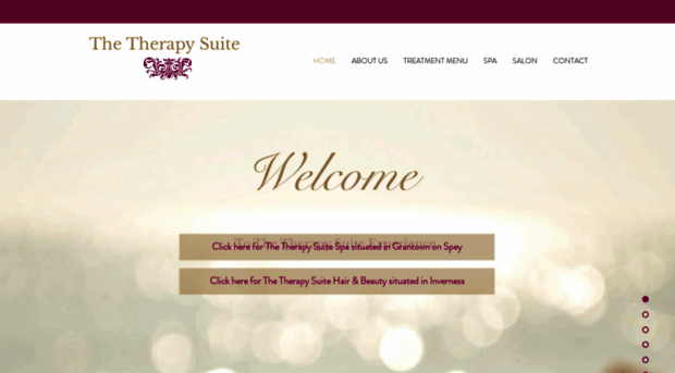 thetherapysuite.com