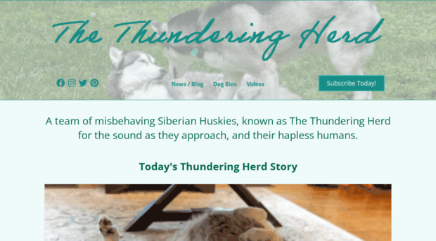 thethunderingherd.com