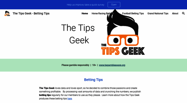 thetipsgeek.com