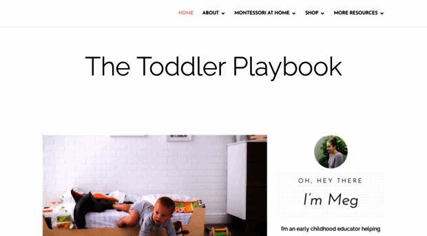 thetoddlerplaybook.com