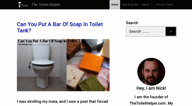 thetoilethelper.com