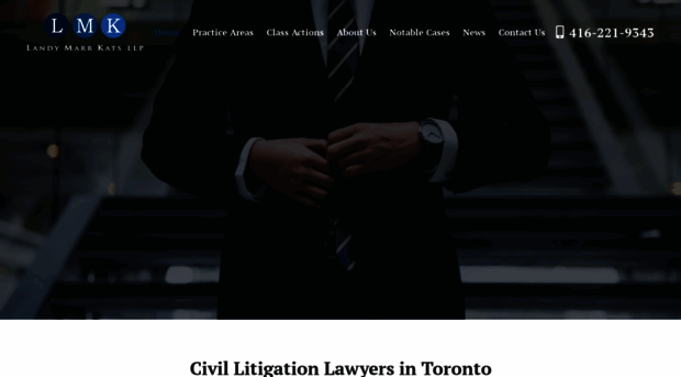 thetorontolawyers.ca