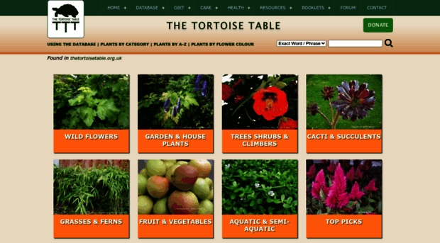 thetortoisetable.org.uk