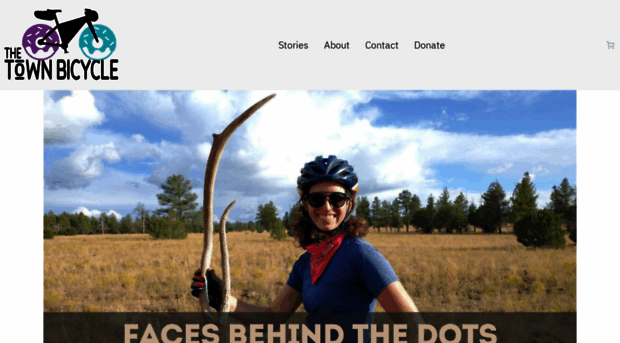 thetownbicycle.com