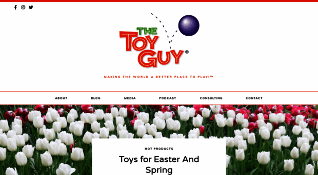 thetoyguy.com