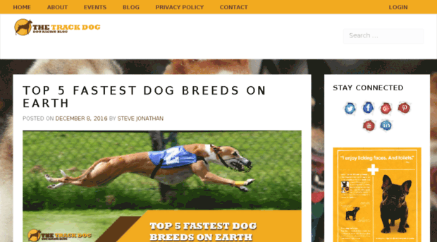 thetrackdog.com