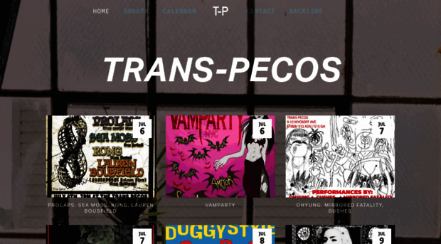 thetranspecos.com