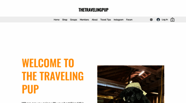 thetravelingpup.com