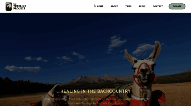 thetreelineproject.org