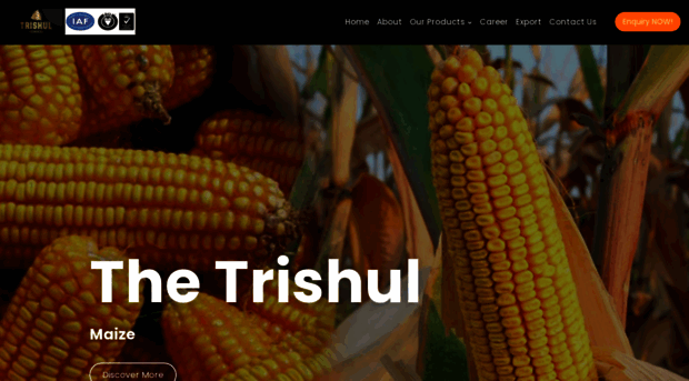 thetrishul.com