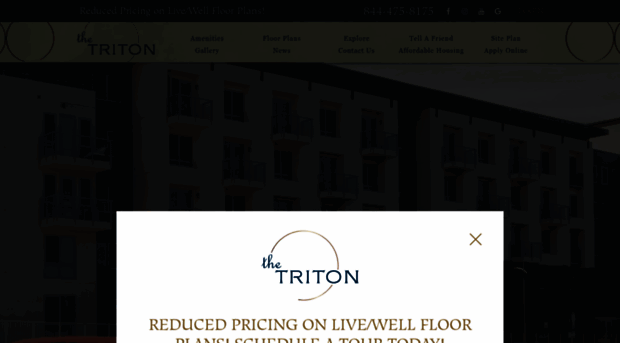 thetritonfostercity.com