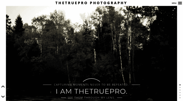 thetruepro.com