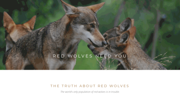 thetruthaboutredwolves.com
