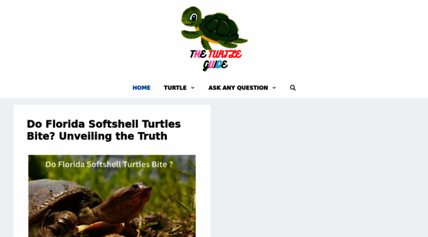 theturtleguide.com