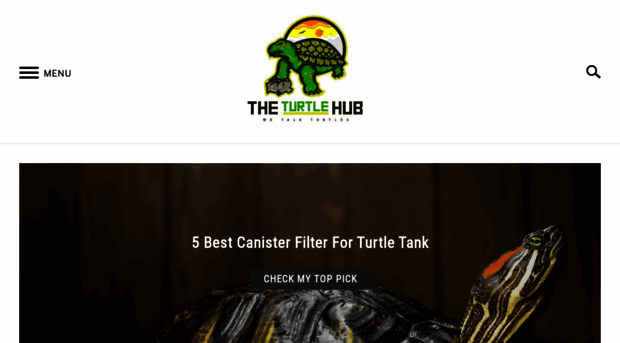 theturtlehub.com