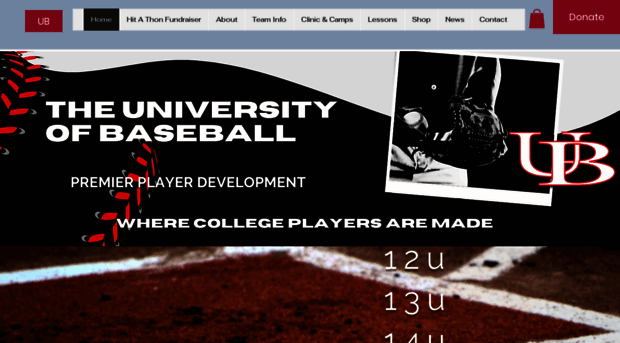 theuniversityofbaseball.com