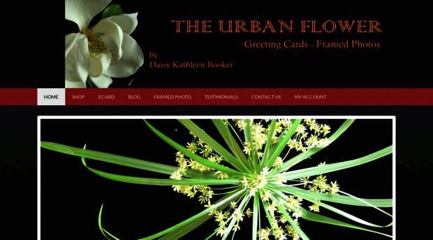 theurbanflower.com