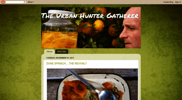 theurbanhuntergatherer.blogspot.com