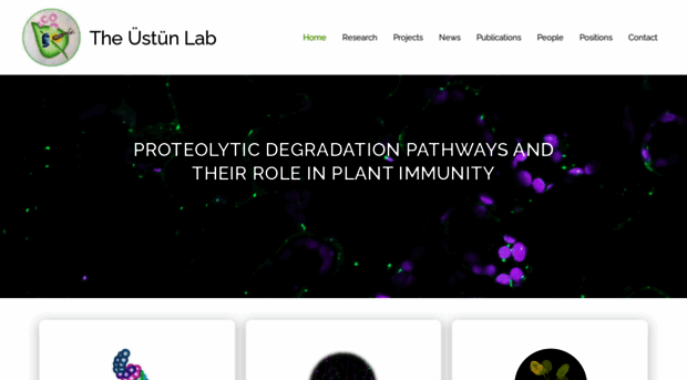theustunlab.com