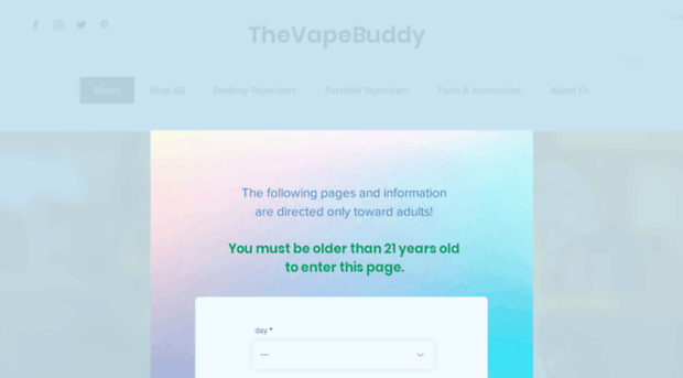 thevapebuddy.com