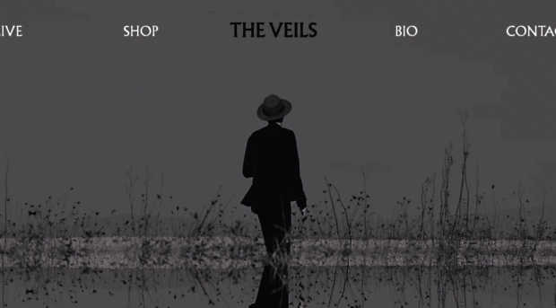 theveils.com