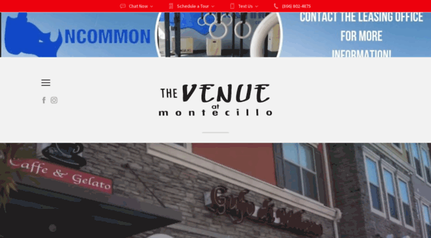 thevenueatmontecillo.com