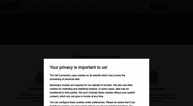 thevetconnection.co.uk