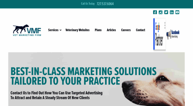 thevetmarketingfirm.com