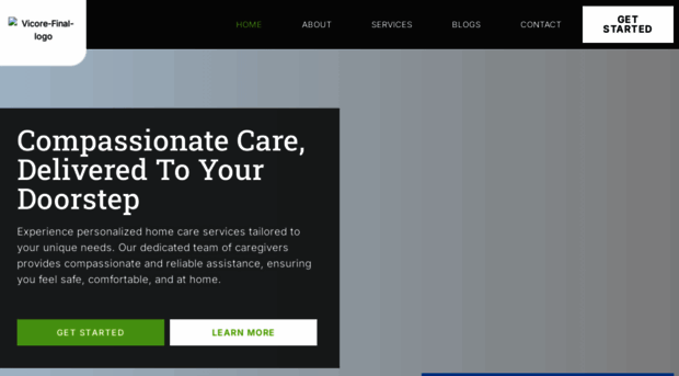 thevicore.com