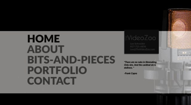 thevideozoo.com