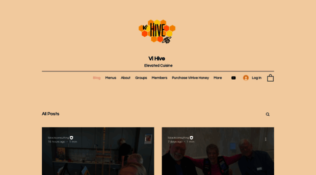 thevigrapevine.com