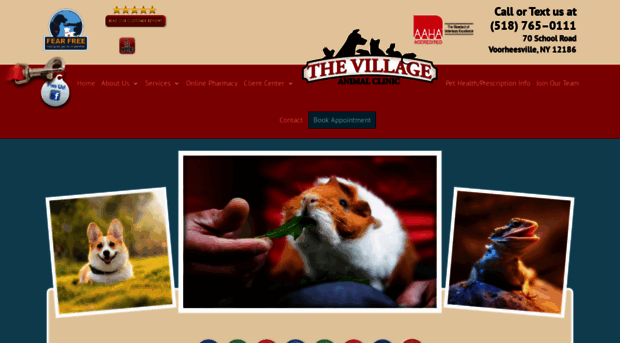 thevillageanimalclinic.com