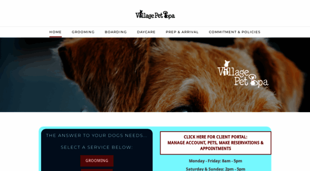 thevillagepetspa.com