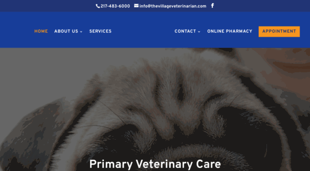 thevillageveterinarian.com