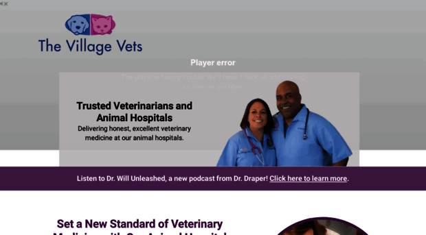 thevillagevets.com