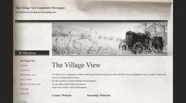 thevillageview.com
