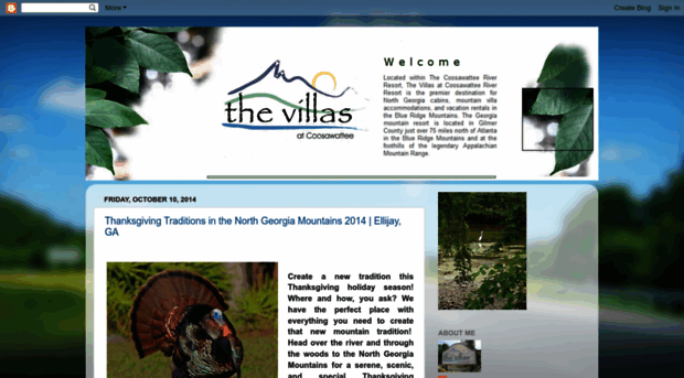 thevillasatcoosawattee.blogspot.com