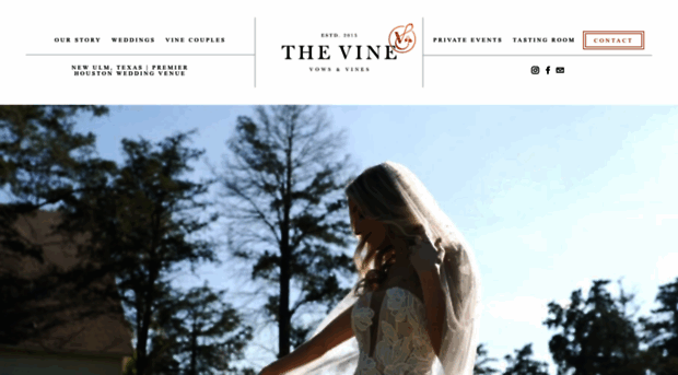 thevinetx.com